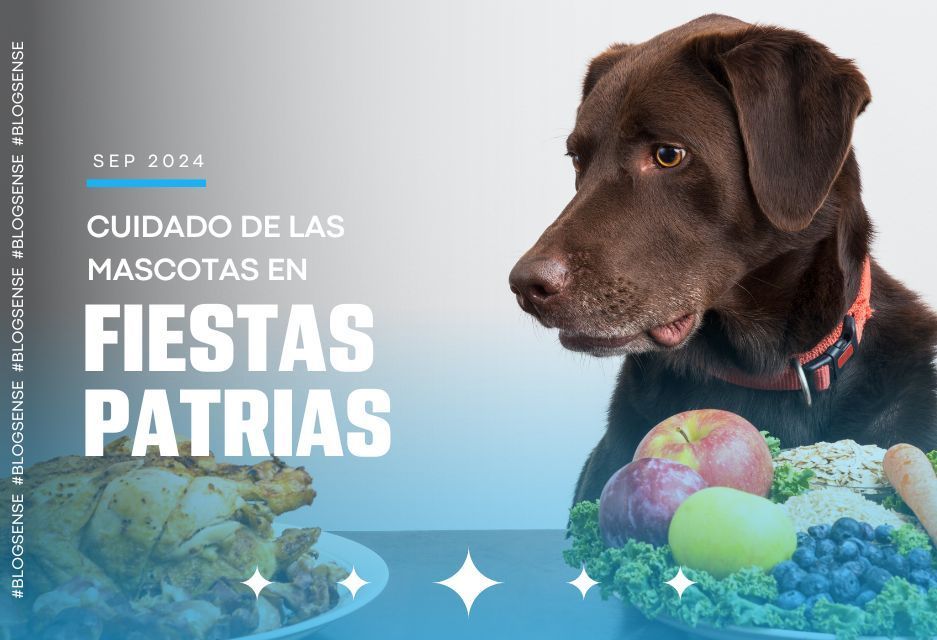 Cuidados de las mascotas en fiestas patrias Cuidados de las mascotas en fiestas patrias
